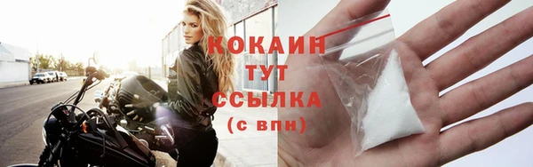 ешки Арсеньев