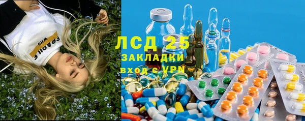 спайс Аркадак