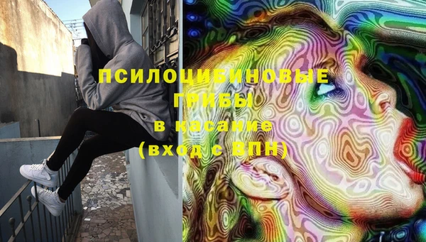 ГАЛЛЮЦИНОГЕННЫЕ ГРИБЫ Алзамай