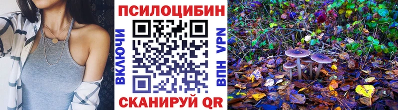 Псилоцибиновые грибы Cubensis Печоры